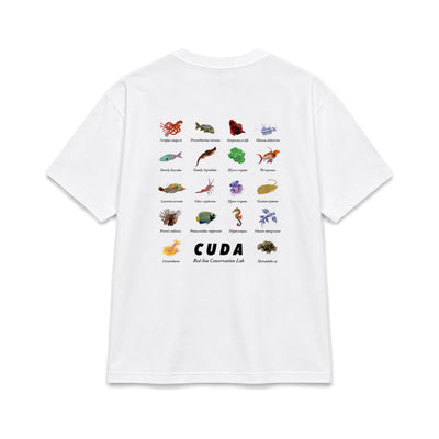 RED SEA INDEX TEE